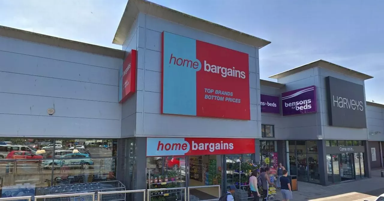 Home Bargains £13 canvas that's like £970 painting 'looks perfect in any bedroom'