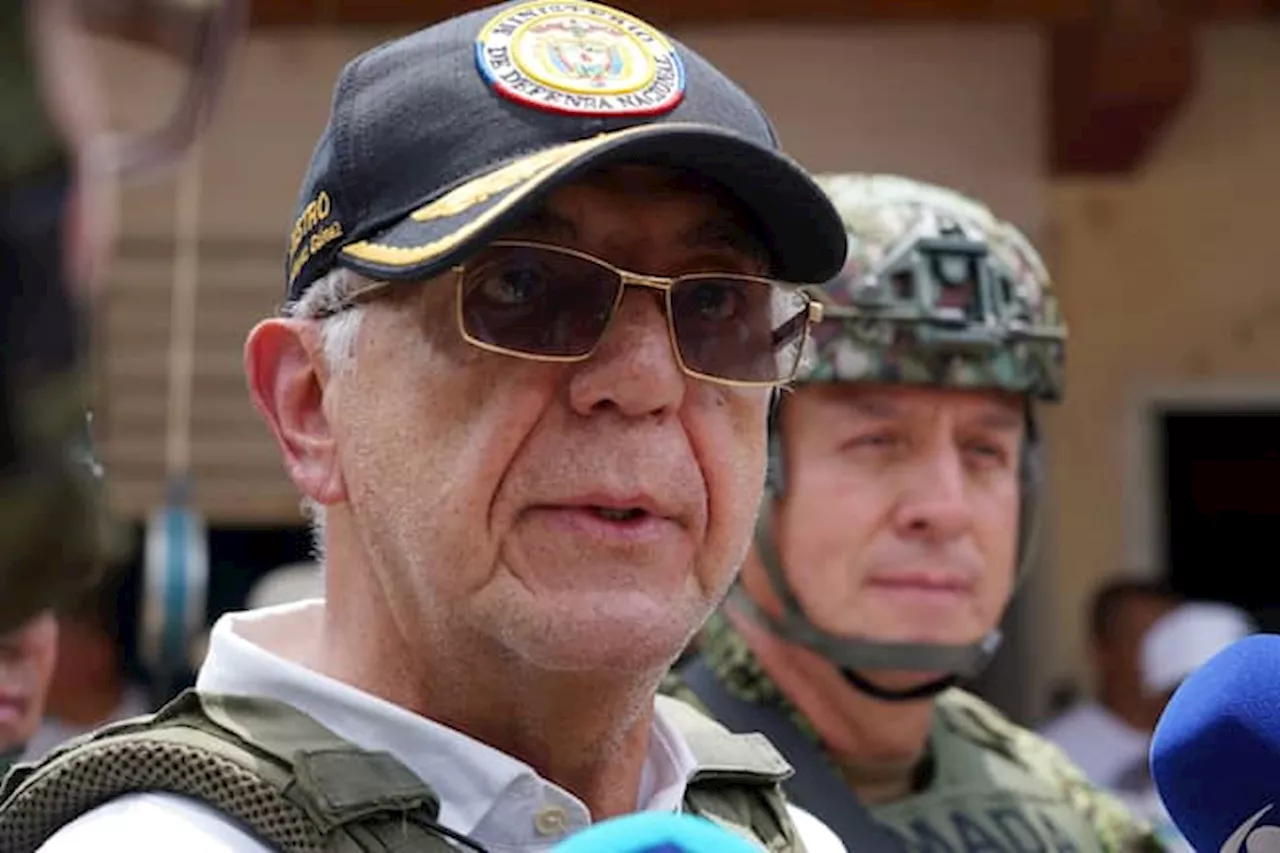 MinDefensa dijo que faltó articulación del Gobierno para la toma del Plateado