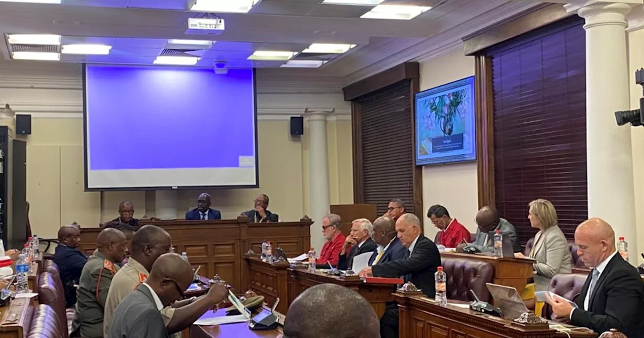 Parly's defence committees to hold closed-door meeting with SANDF on DRC deployment