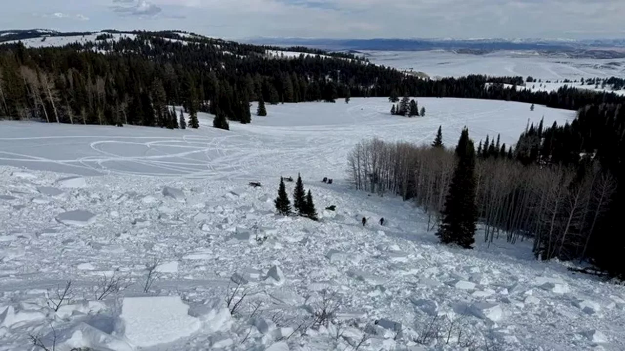 Snowmobiler Killed in Utah Avalanche