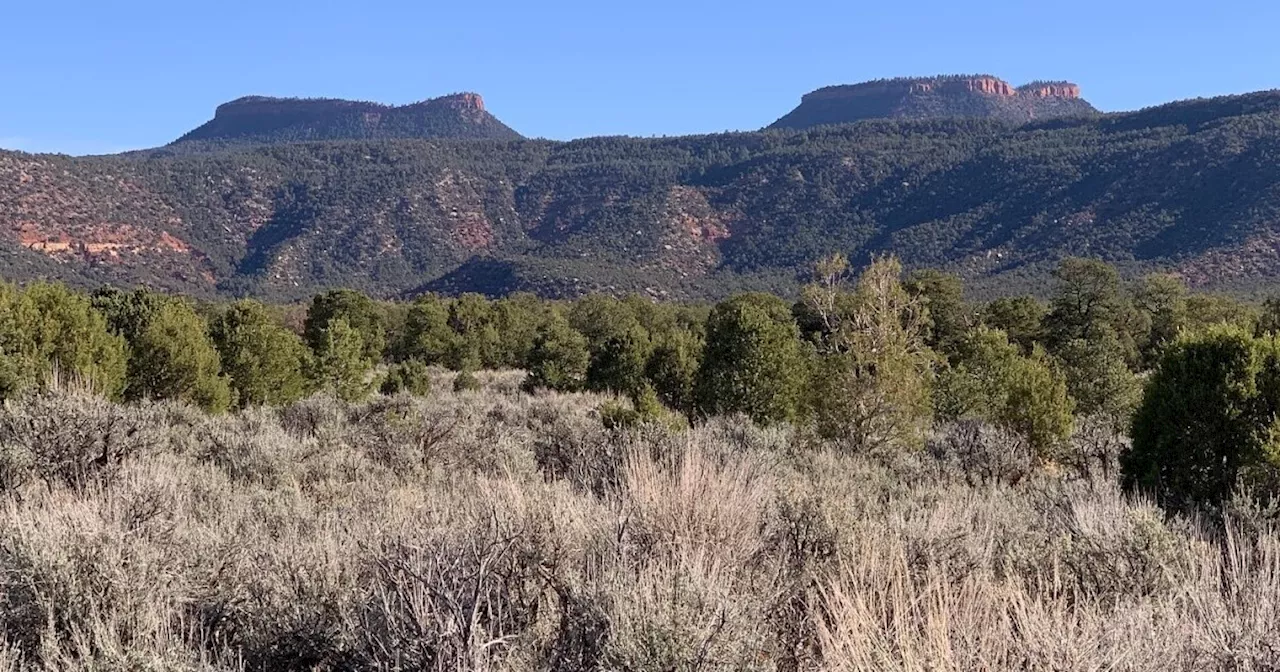 Trump Administration to Review National Monuments for Potential Resizing