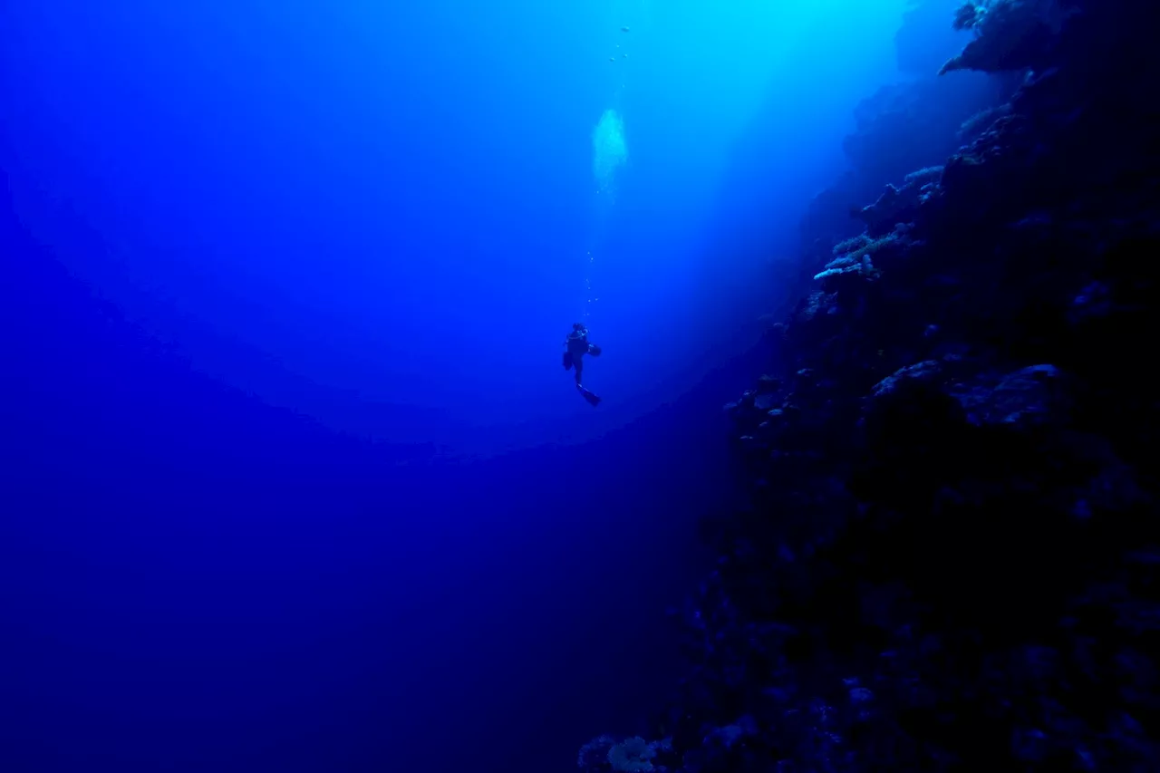 DEEP: The Ambitious Quest to Build an Underwater Colony
