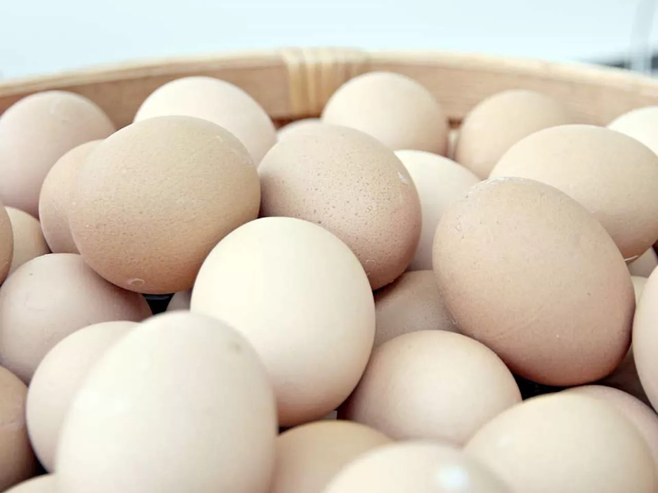 Pennsylvania thieves haul away precious loot: 100,000 eggs