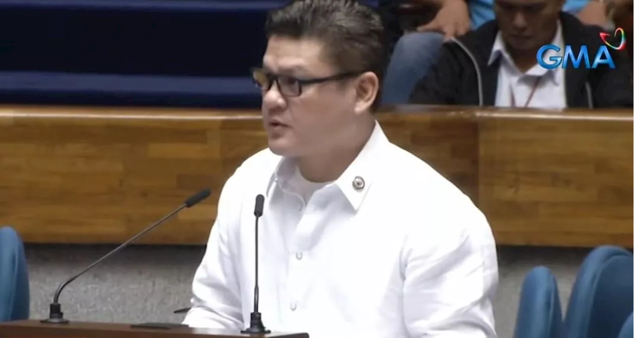 Pulong Duterte: VP Sara’s impeachment is 'political persecution'