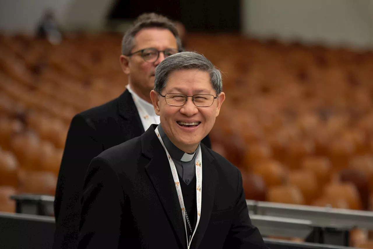 Cardinal Tagle Calls for Dialogue and Fraternity in a Secular World