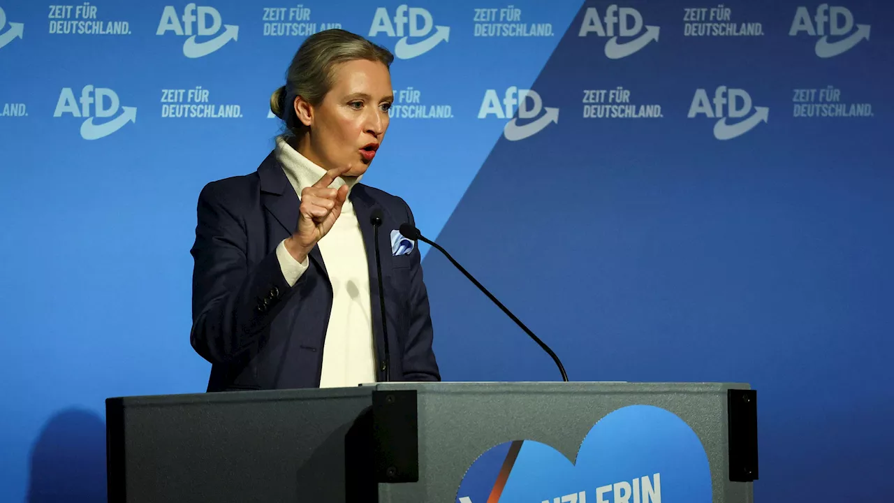  AfD bei schwulen Männern mit Abstand beliebteste Partei