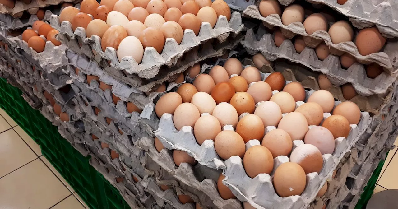 100,000 Eggs Stolen Off Trailer In Pennsylvania