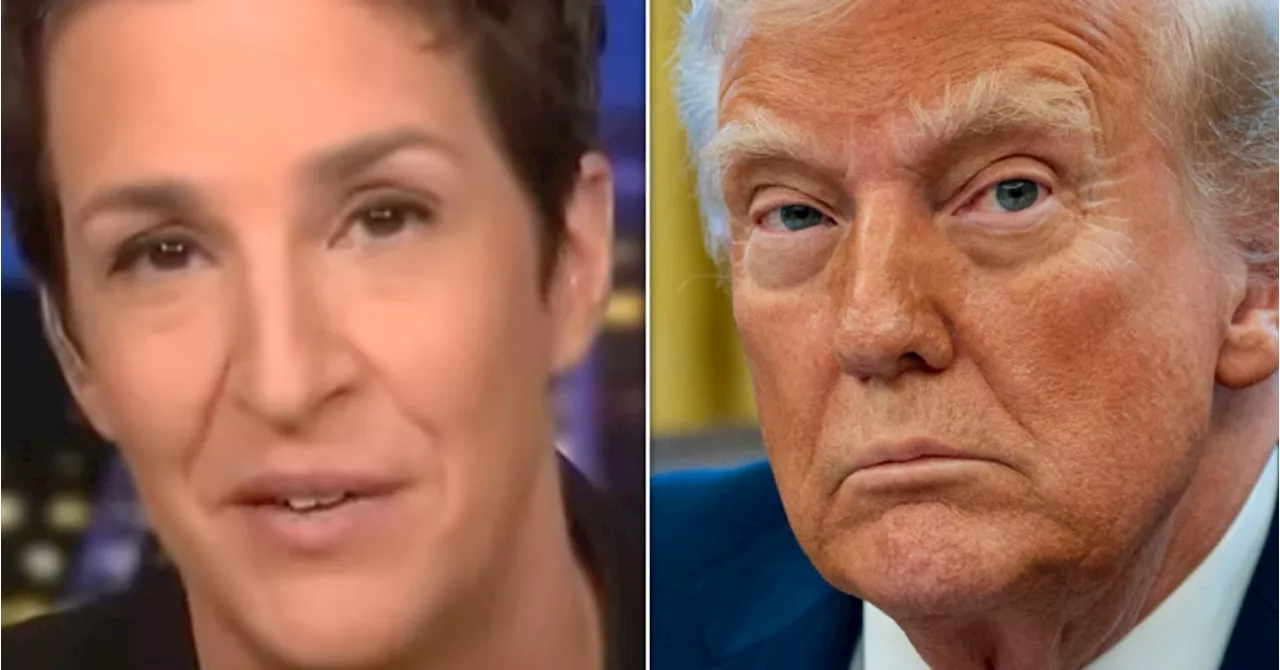 Maddow Mocks Trump Administration's 'Stupidly Inept' Attempts to Delete Diversity References