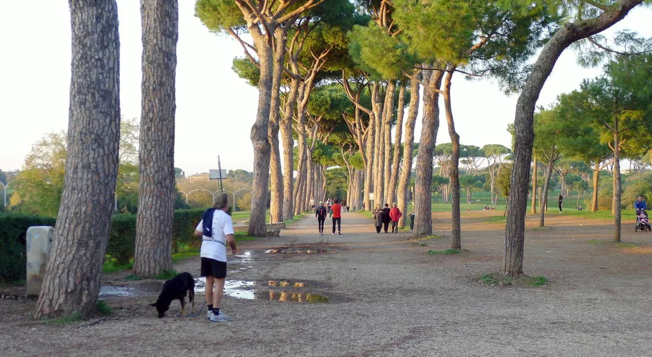 Attacchi e violenze in Villa Pamphili: Testimone oculare denuncia abuso