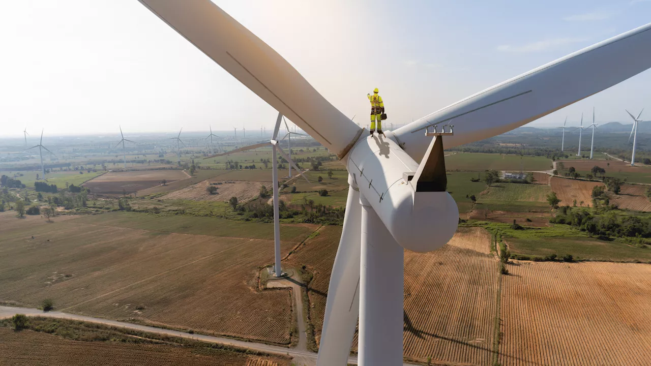 World's Longest Wooden Wind Turbine Blade to Undergo Trial in Europe