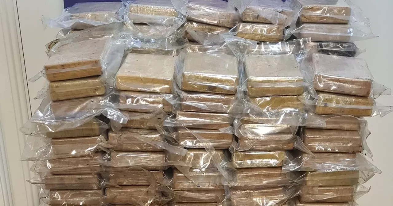 Gardaí seize further 17kg of cocaine and eight vehicles after massive Laois haul