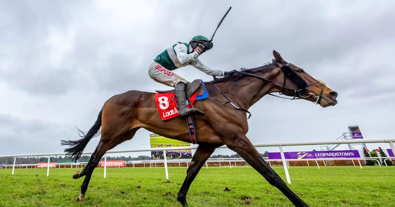 Solness' Dublin Chase Victory Sparks Heated Debate Among Racing Experts