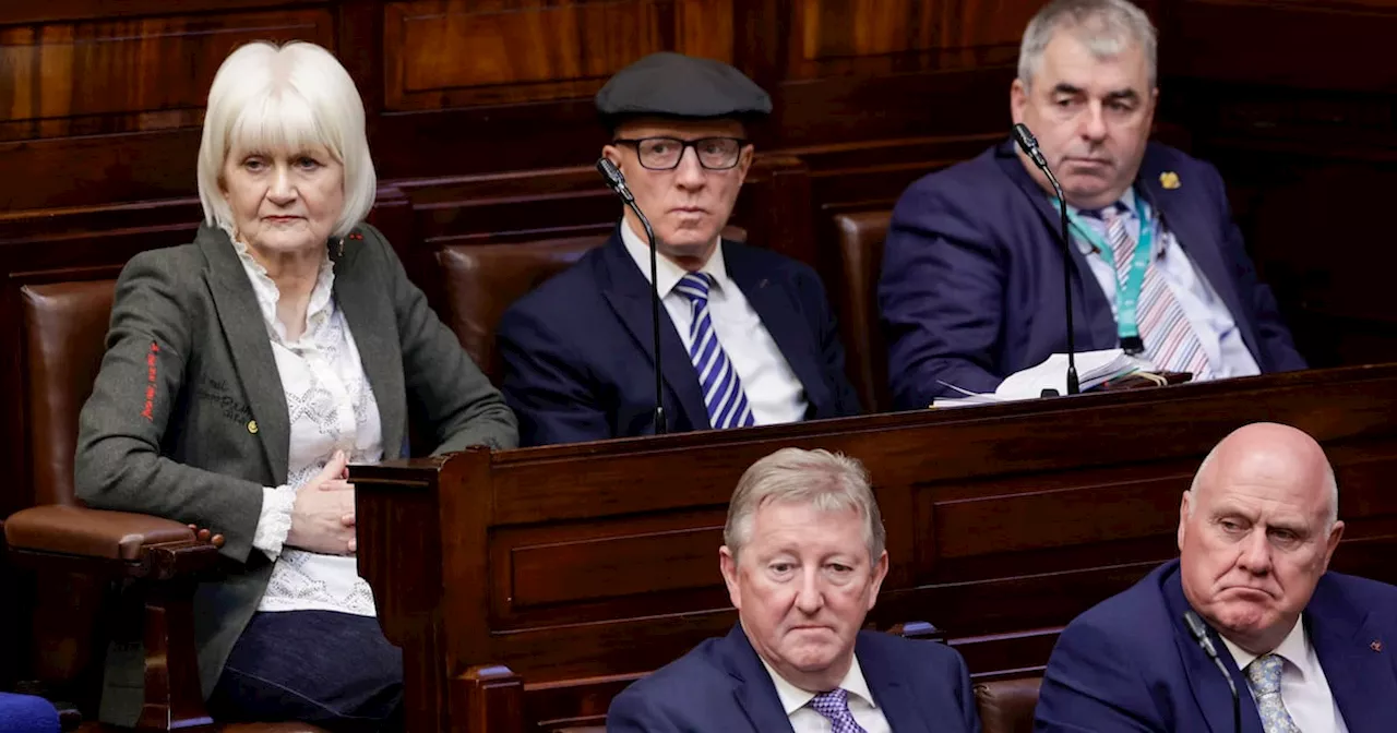 Kathy Sheridan: Public may not care who gets to speak in the Dáil - but they do care about being taken for fools