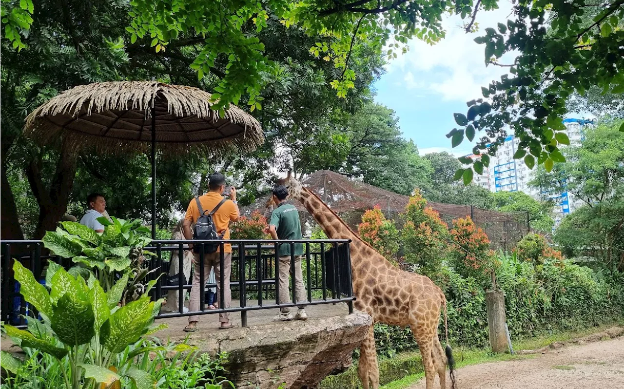 Begini Nasib Kebun Binatang Bandung Seusai Disita Kejaksaan