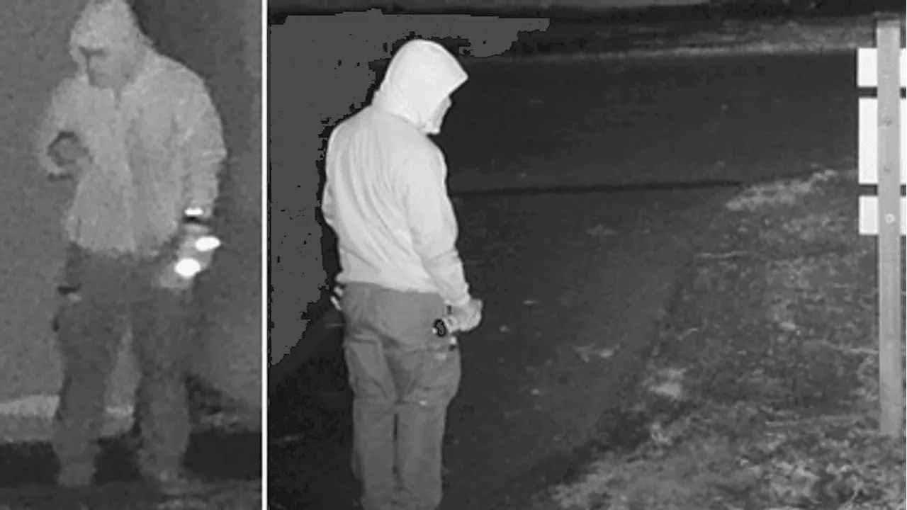 Issaquah Police Seek Suspects in Antisemitic and Anti-LGBTQ+ Graffiti Cases