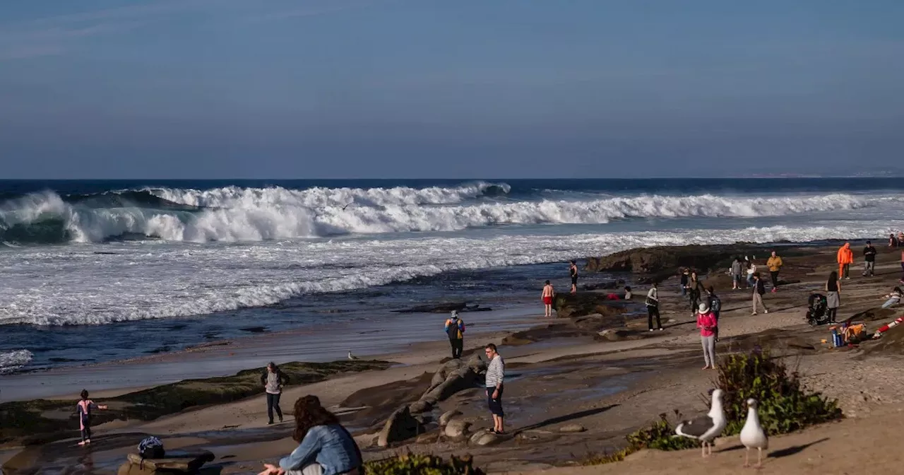 La Jolla Seeks to Secede from San Diego