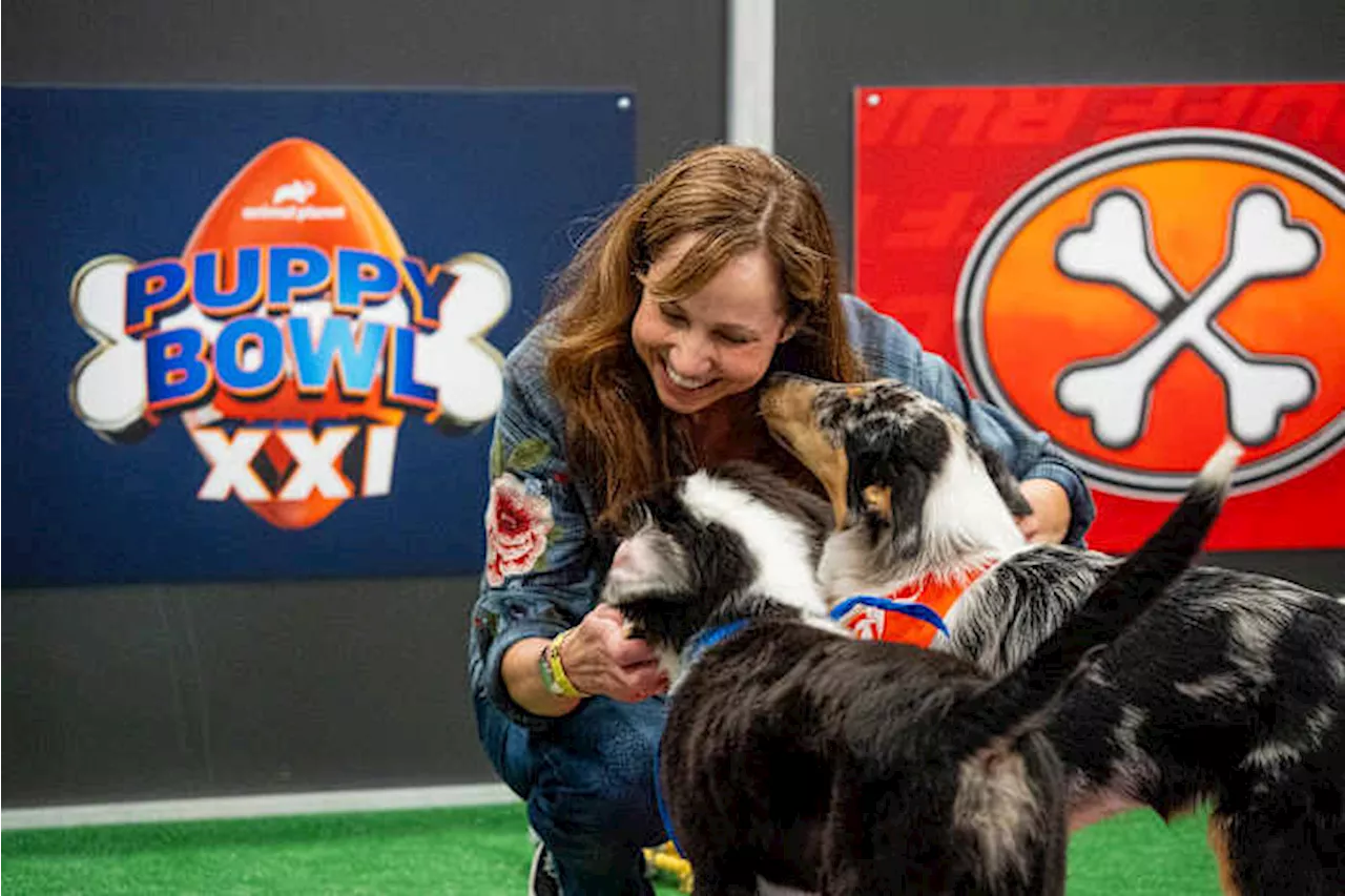 Meet the woman keeping the adorable pups happy at this year's 'Puppy Bowl'