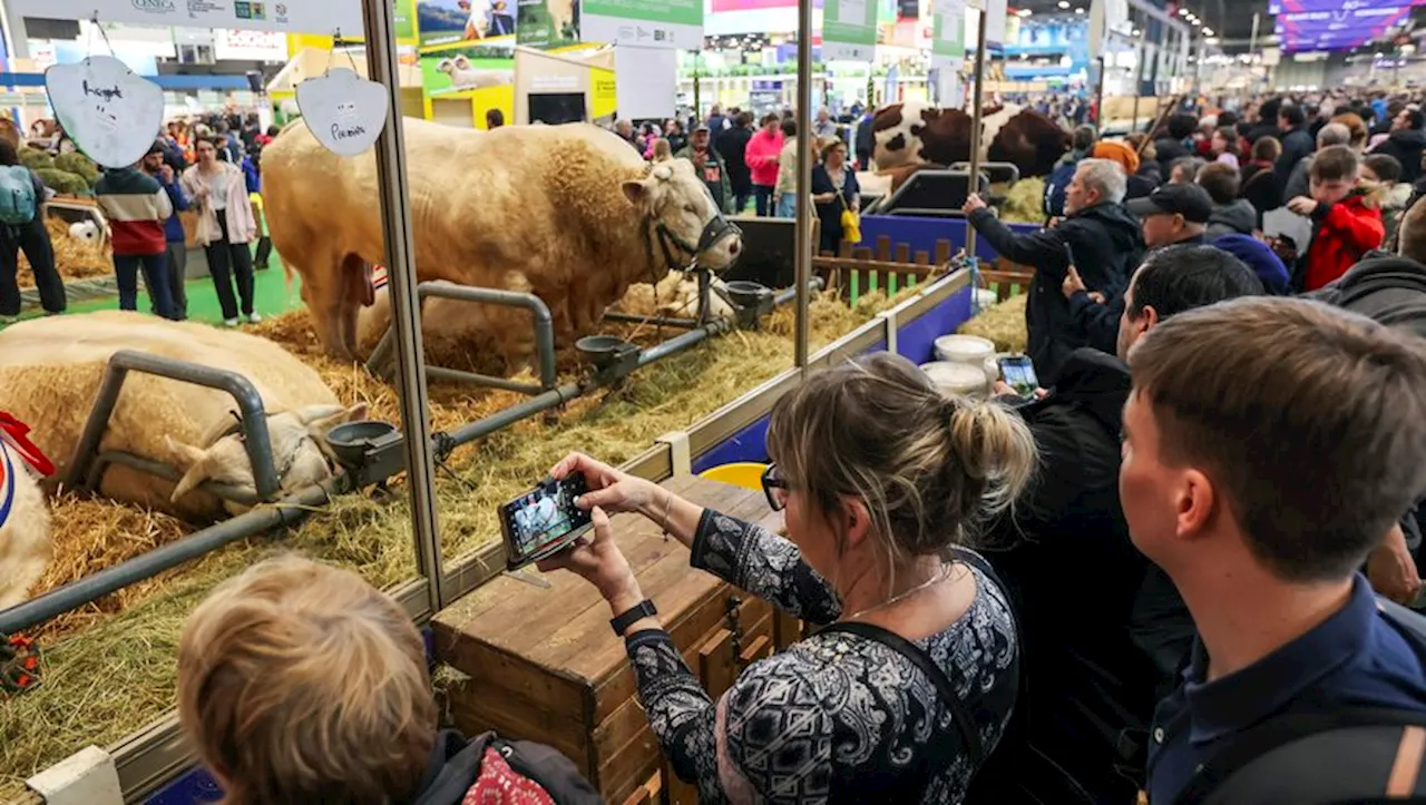 Coup dur pour l'agriculture occitane : plusieurs départements absent du Salon de l'Agriculture 2025