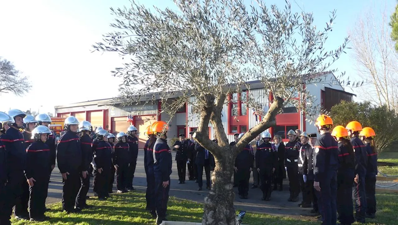 Sainte-Barbe au Centre de Secours : Un Moment de Fêta et d'Honneur