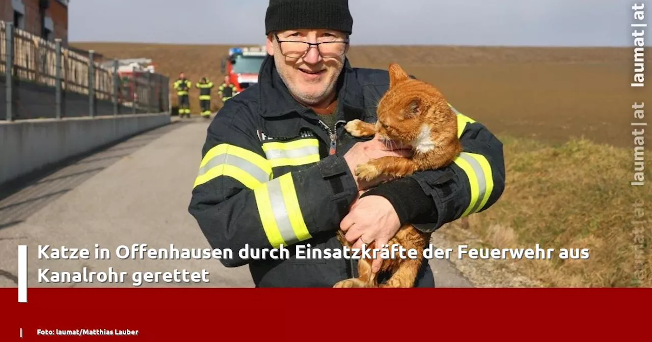 Katze in Offenhausen durch Einsatzkräfte der Feuerwehr aus Kanalrohr gerettet