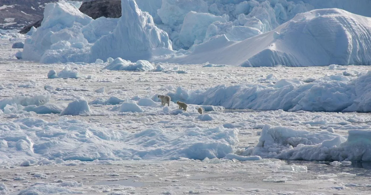 L'objectif de maintien du réchauffement sous 2°C «est mort», selon un éminent climatologue