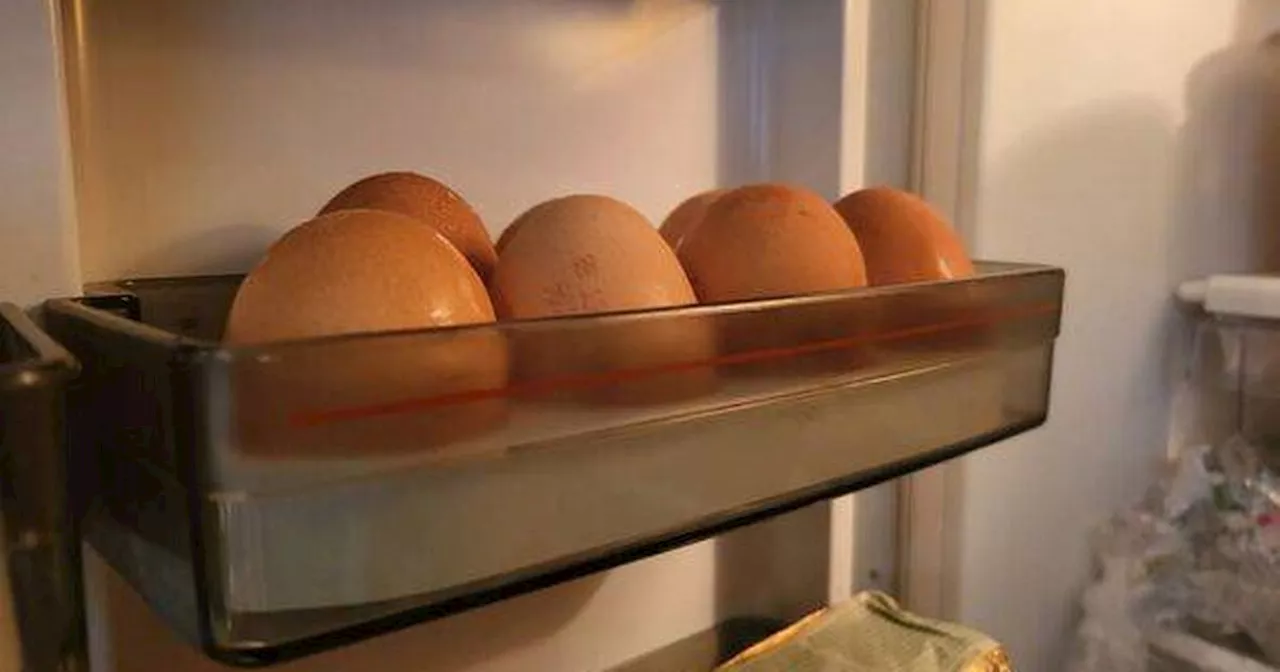 Egg Storage: Fridge or Counter?