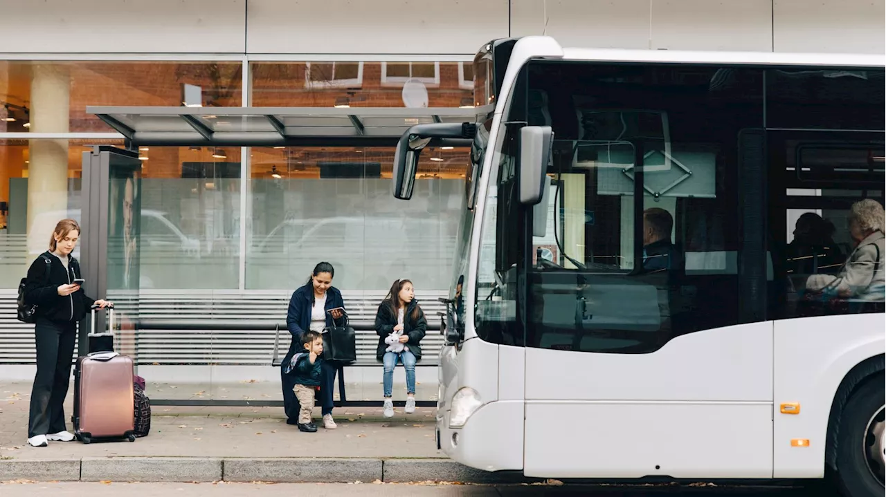 Contrôles de Conducteurs de Cars Scolaires Intensifiés en France