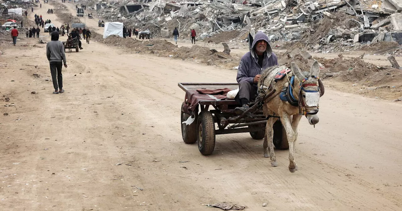 Projet de Trump à Gaza : «Le peuple palestinien et ses forces vives ne permettront à aucun Etat de la planète d’occuper notre terre»