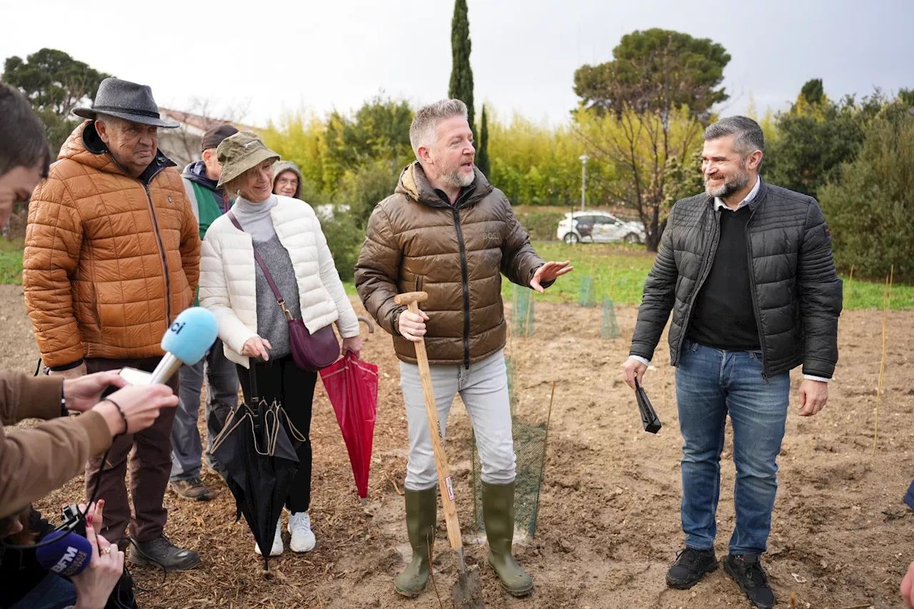 La Ville de la Ciotat veut créer « la plus grande forêt en ville de France »