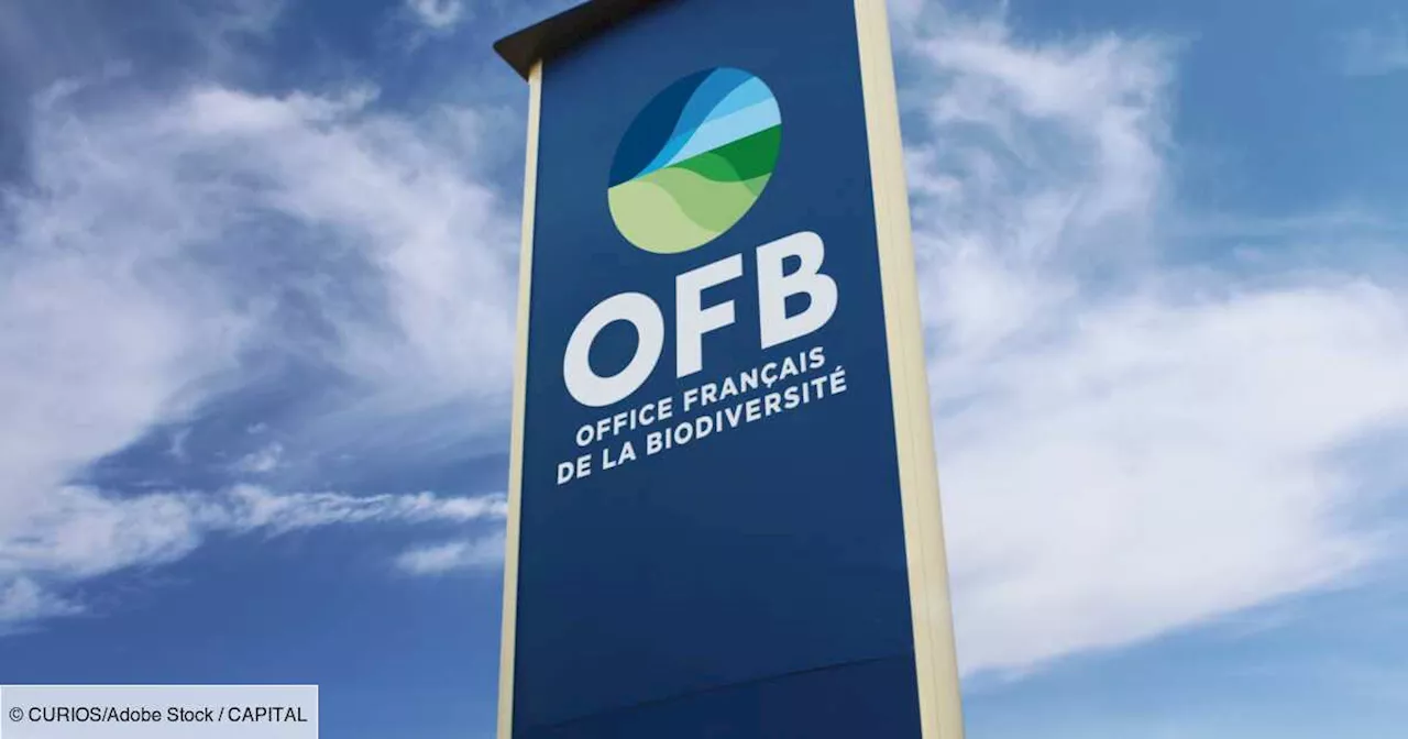 Agriculture : mais au fait, c'est quoi l’Office français de la biodiversité (OFB) ?