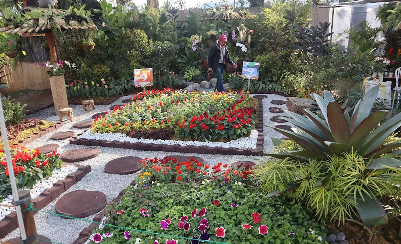 Twelve Landscapers Vie for Glory in Panagbengascapes Competition