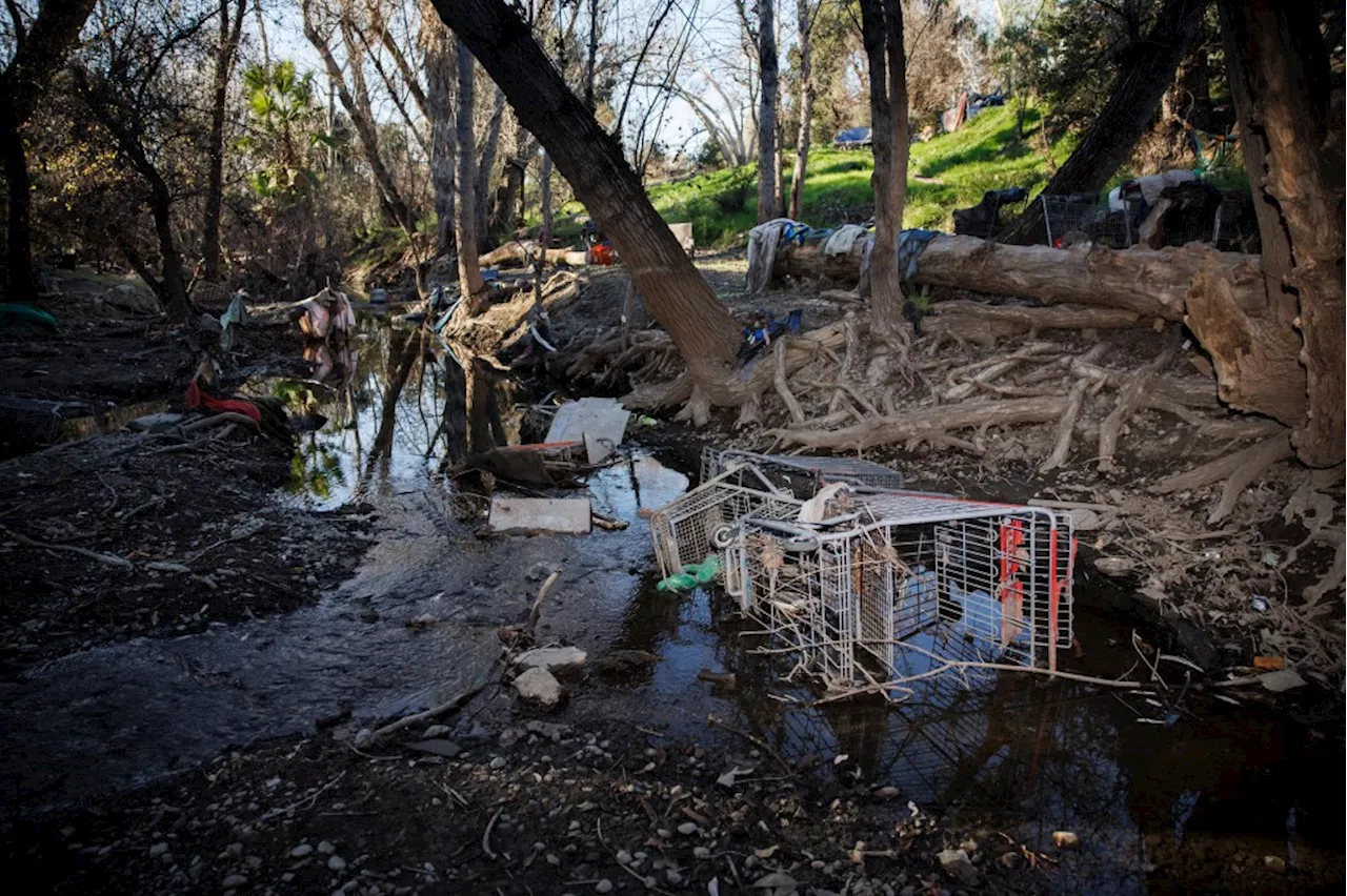 San Jose Grapples with Abandoned Shopping Cart Crisis