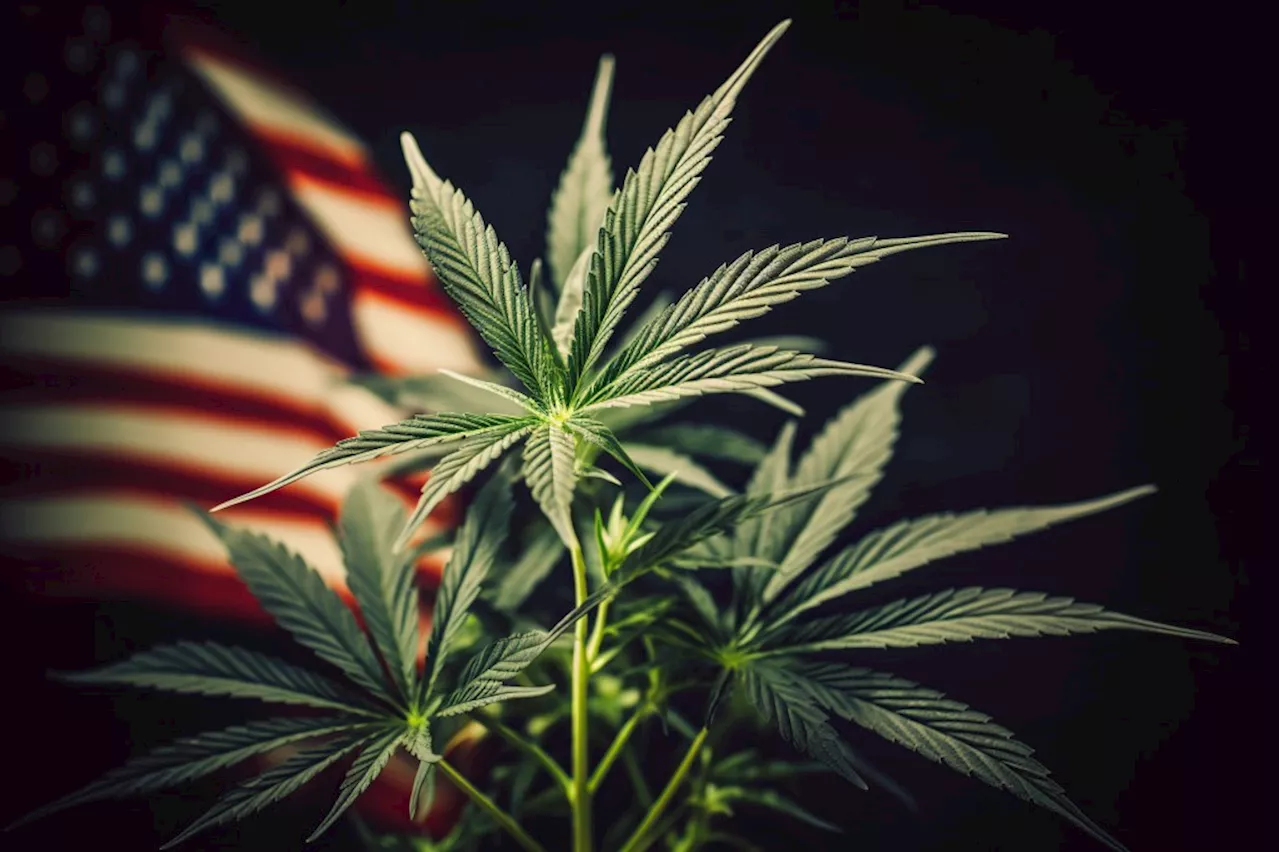 The Civil Rights Legacy in Cannabis Reform