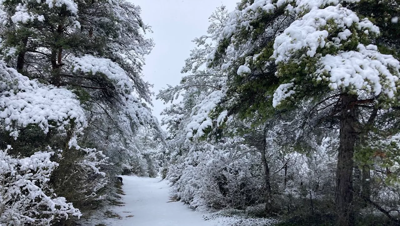 Glace et neige en France : jusqu'à un mètre de neige prévu dans les Cévennes