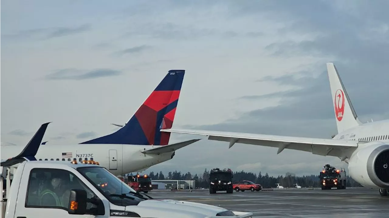 Delta, Japan Airlines Planes Collide at Seattle Airport, No Injuries Reported