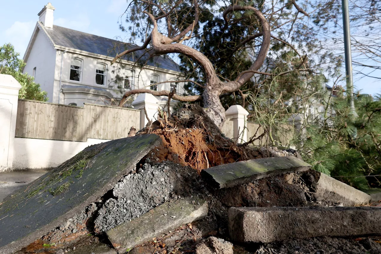 Violent Storm Force Winds Hit Ireland, Sparking Calls for Utility Relief