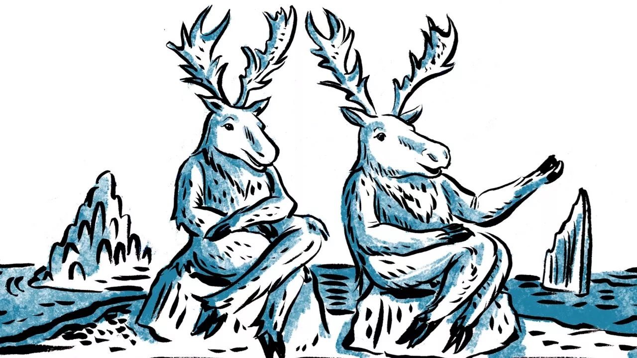 America!: Greenland’s Reindeers Politely Reject Our Annexation Overtures