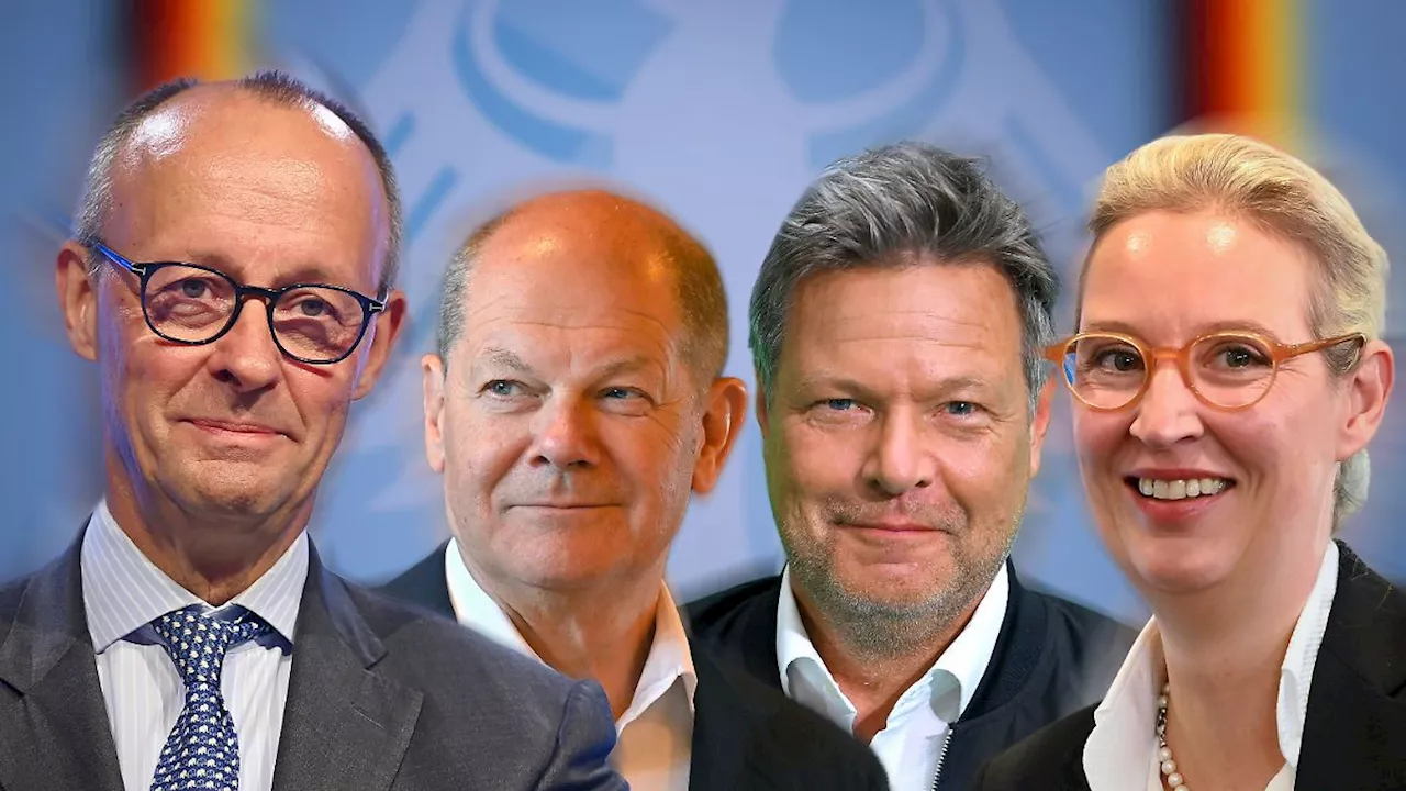 Eine Woche vor der Wahl bei ntv: Merz, Scholz, Habeck und Weidel treffen bei Quadrell aufeinander