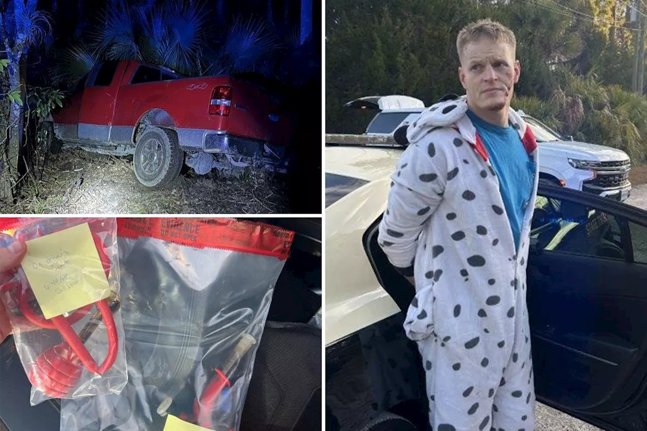 Florida Man in Dalmatian Onesie Escapes Traffic Stop, Caught a Day Later