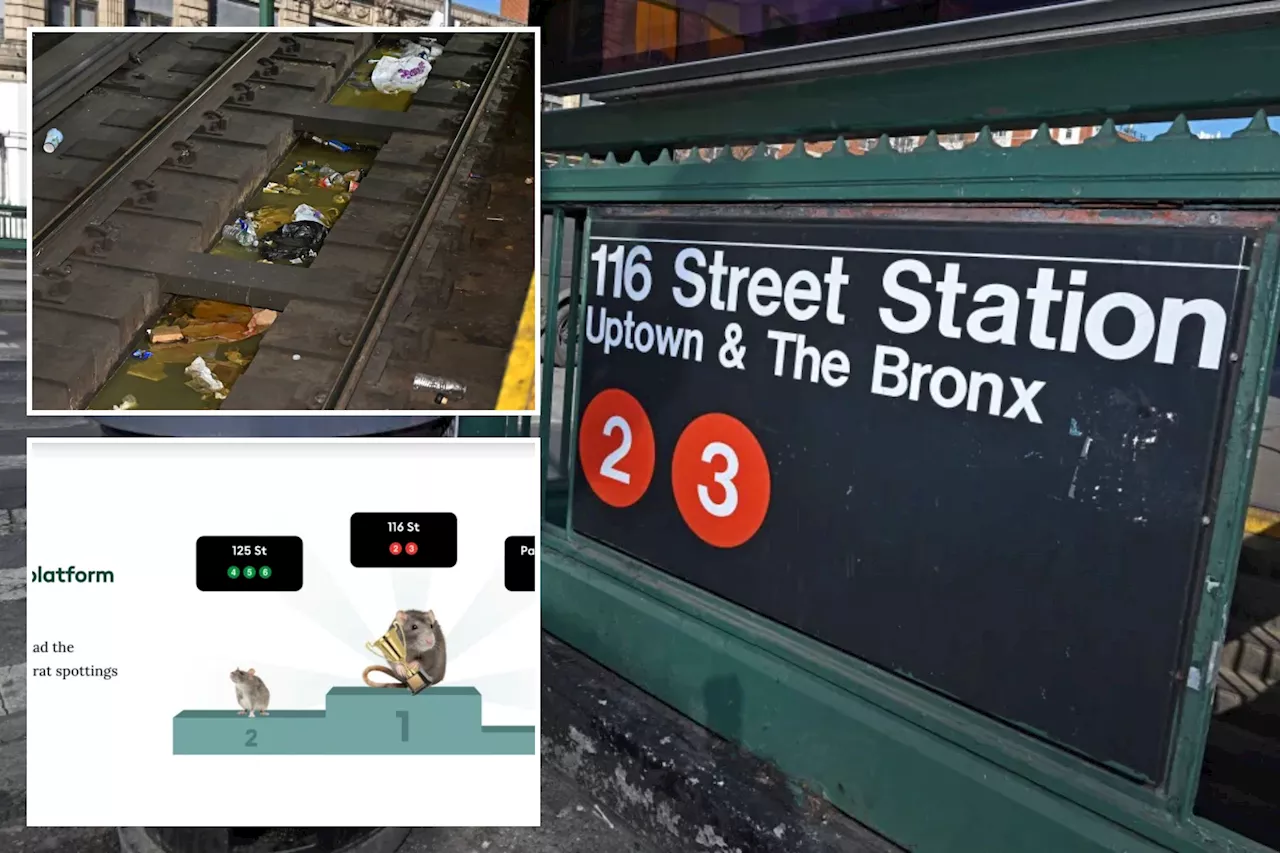 NYC's most rat-infested subway stops are both based in one neighborhood — but some riders not surprised: 'You'll see one'