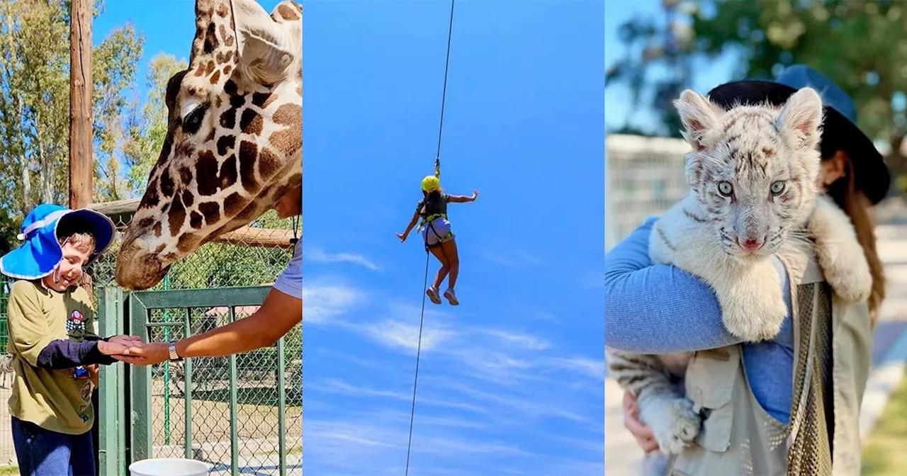 El Zoológico de Irapuato abre este lunes con actividades para toda la familia