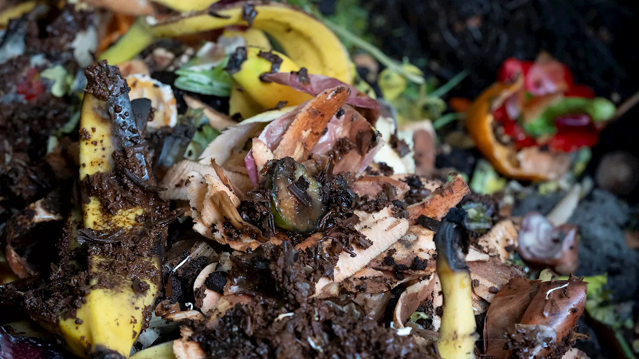 US Falls Short of Food Waste Reduction Goal