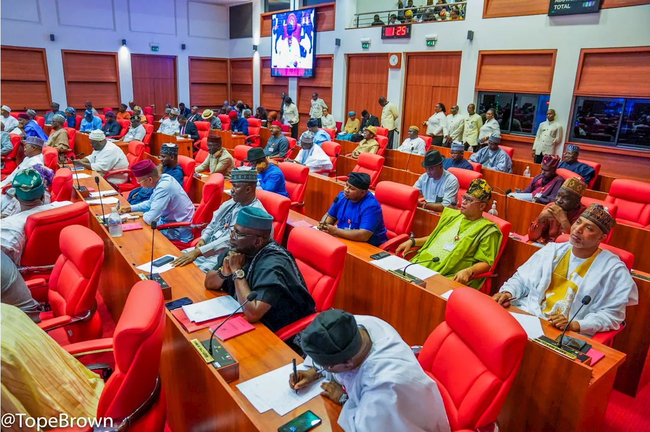 Senate Approves Tinubu's Request to Remove Suspended INEC RECs