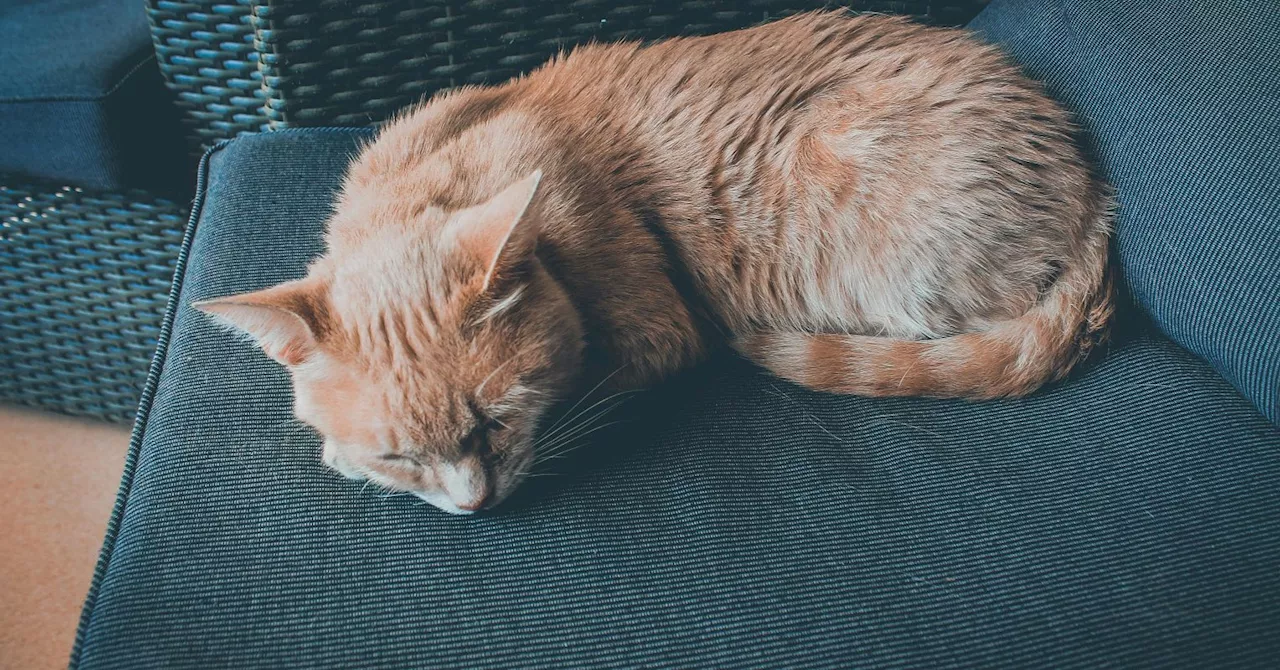 The Power of Rest: Embracing Seasons of Renewal