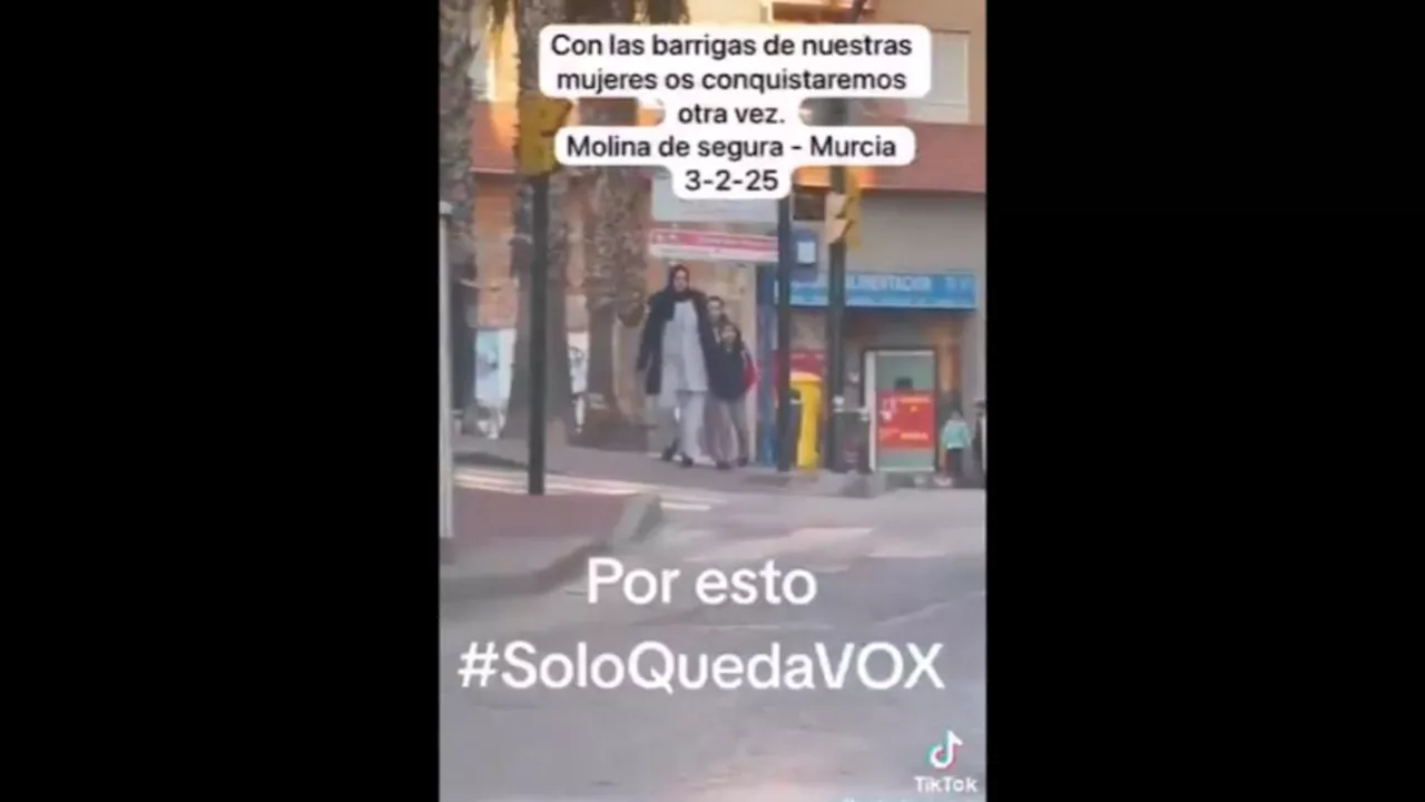 El PSOE denuncia a concejal de Vox por vídeo xenófobo en TikTok