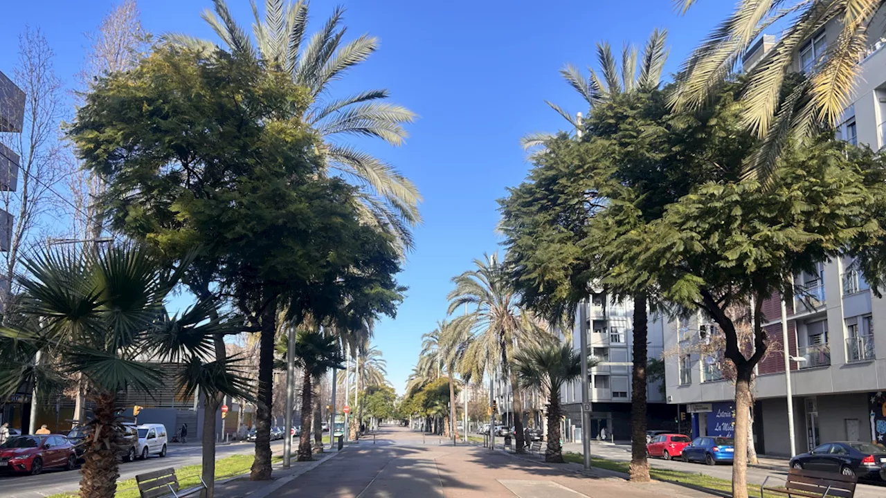 La Mina, el barrio barcelonés que sigue sin cicatrizar las heridas del abandono institucional