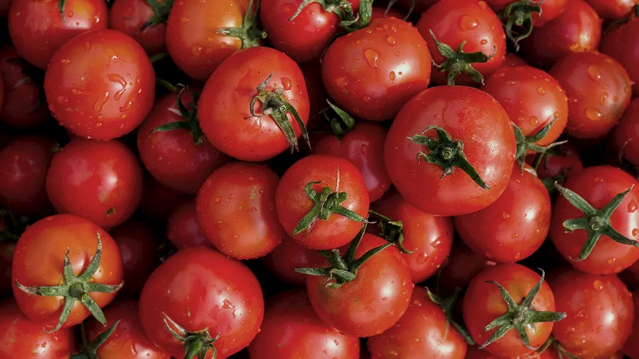 Soaring tomato prices main driver of 2.9% inflation in January 2025