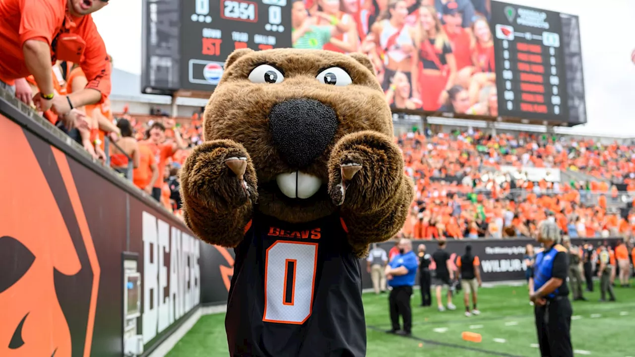 Oregon State Beavers Update: National Signing Day, Basketball Hopes, and Women's Winning Streak