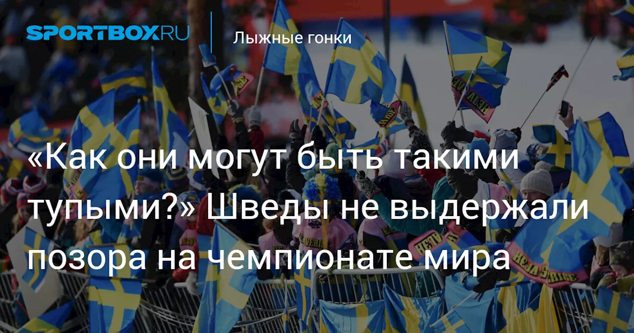 «Как они могут быть такими тупыми?» Шведы не выдержали позора на чемпионате мира