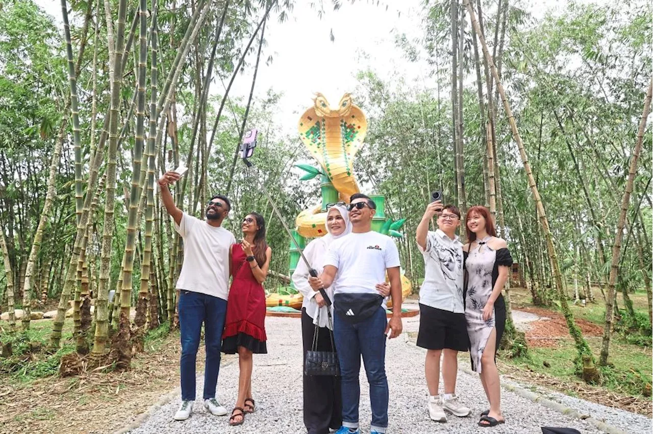 Johor’s bamboo forest a big draw